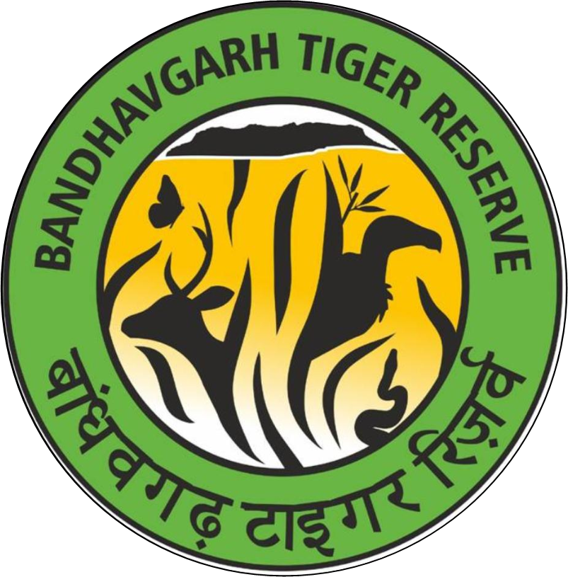 Bandhavgarh Tiger Reserve