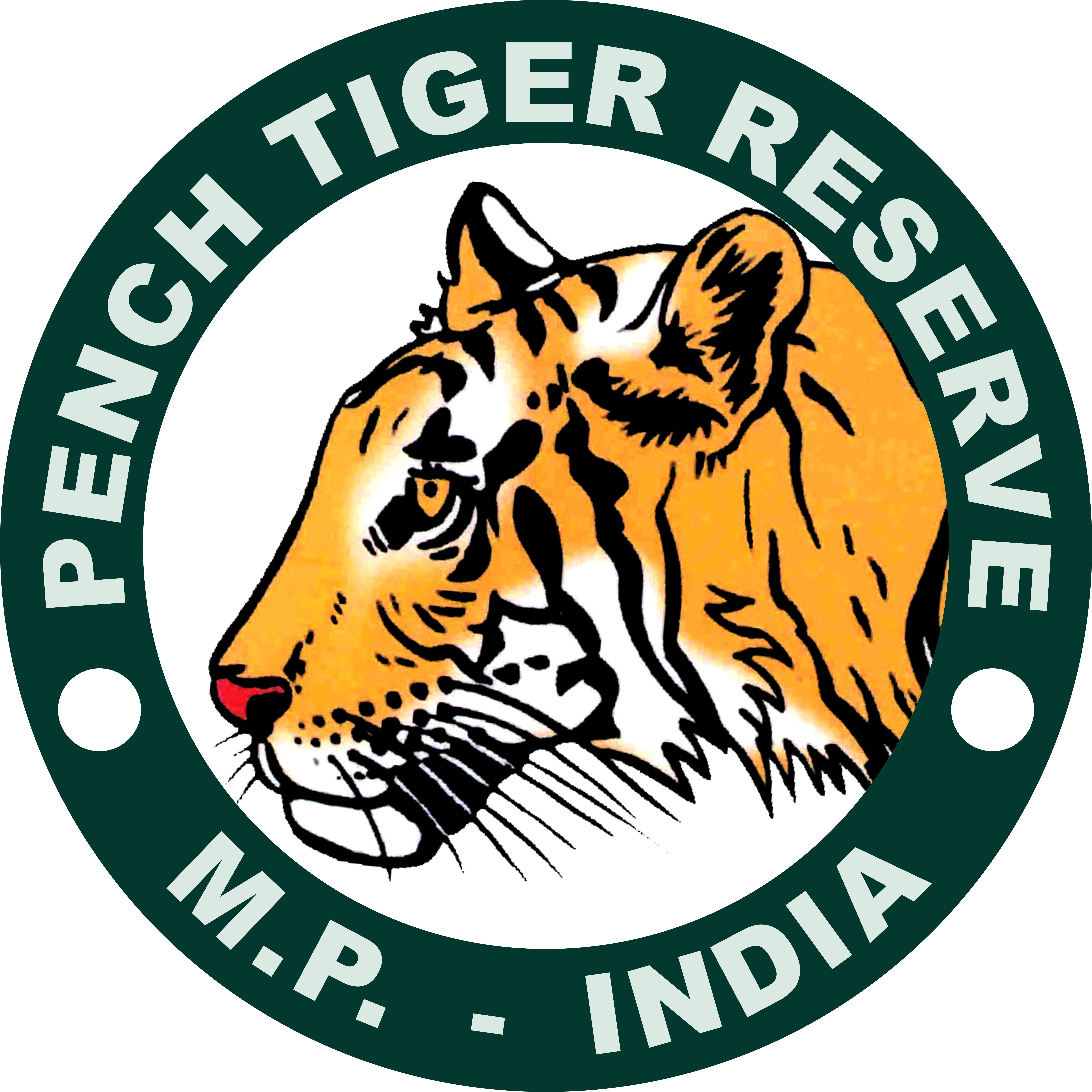 Pench Tiger Reserve (MP)